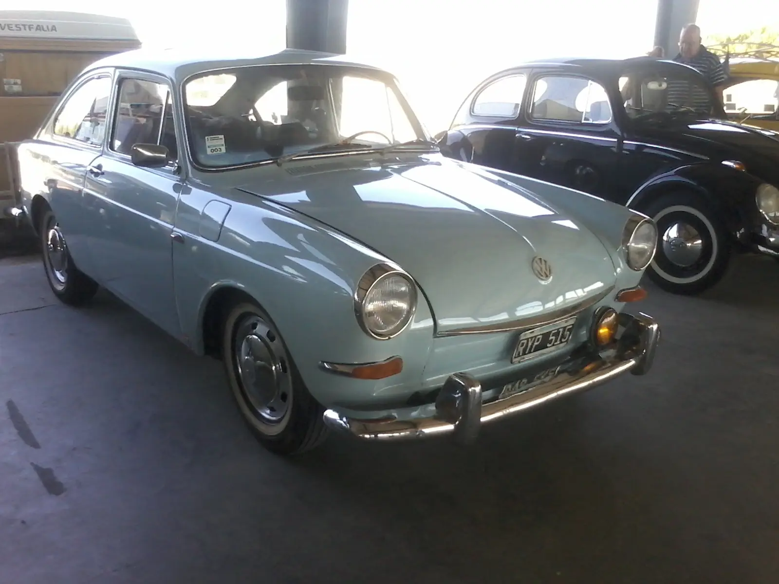 fusca fusca