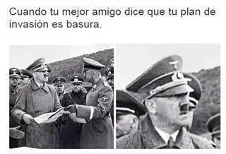 gatitos