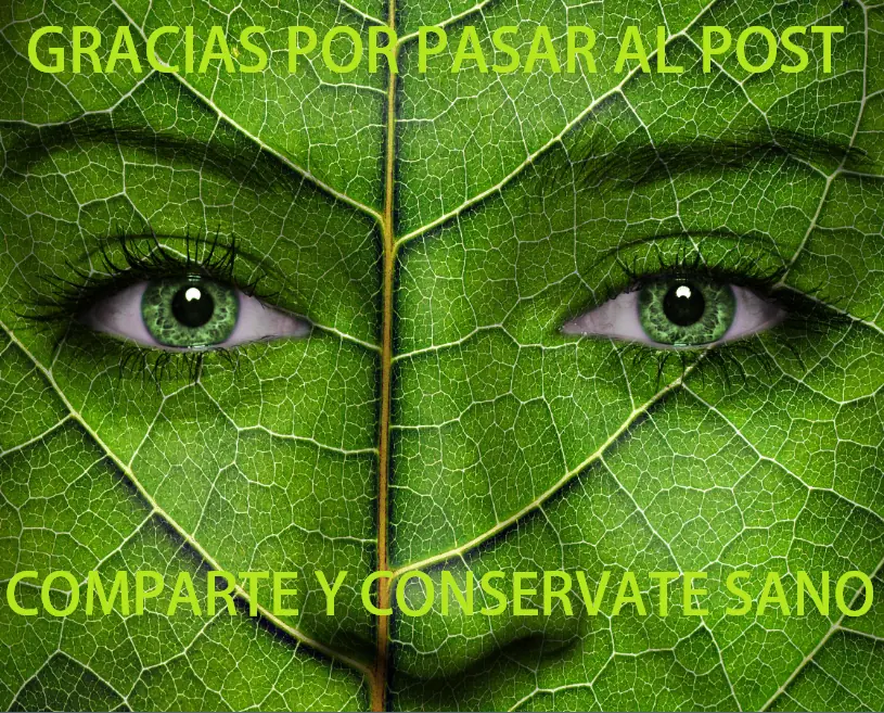 Siembra