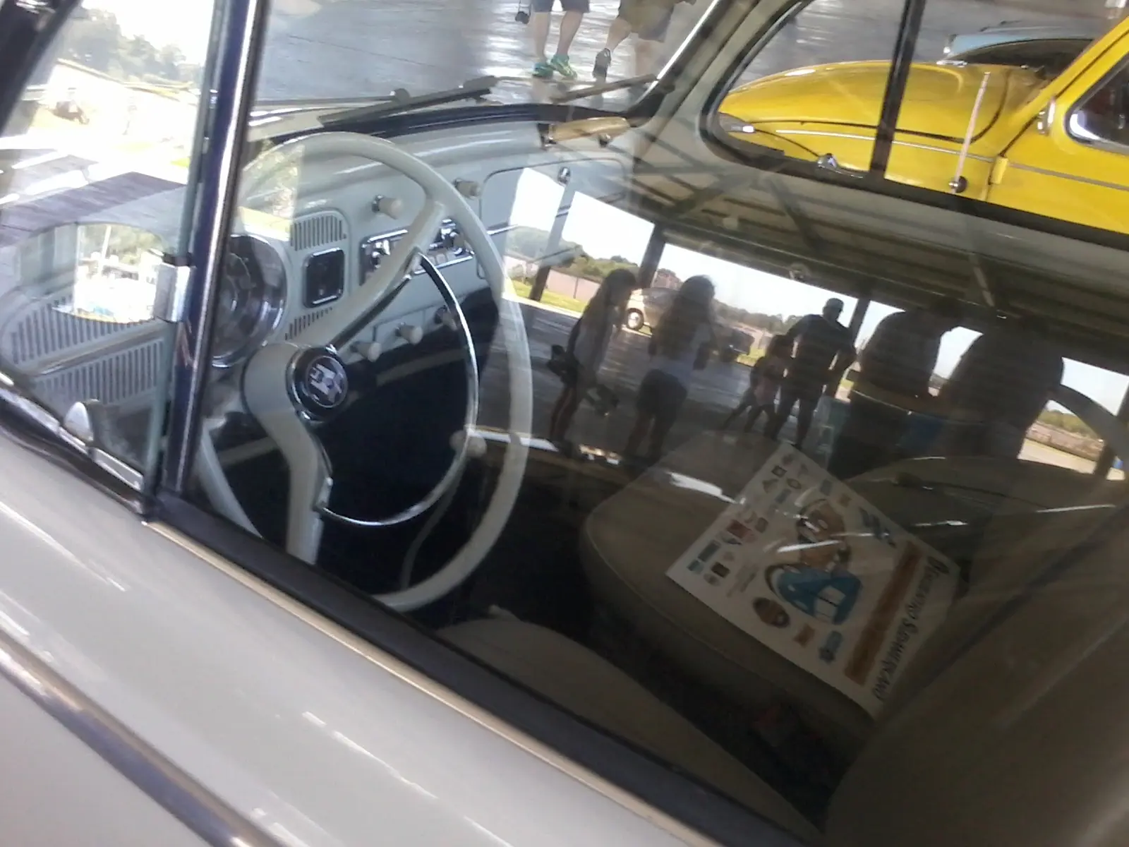 fusca fusca