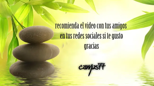 consejos consejos