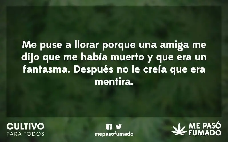 Anécdotas graciosas de personas que consumieron marihuana