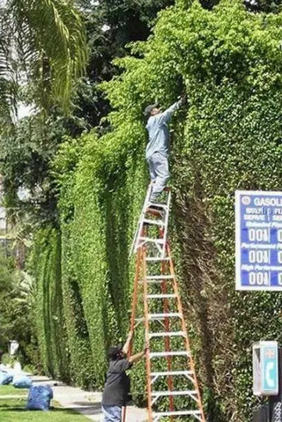 te muestro por que las mujeres viven mas que los hombres