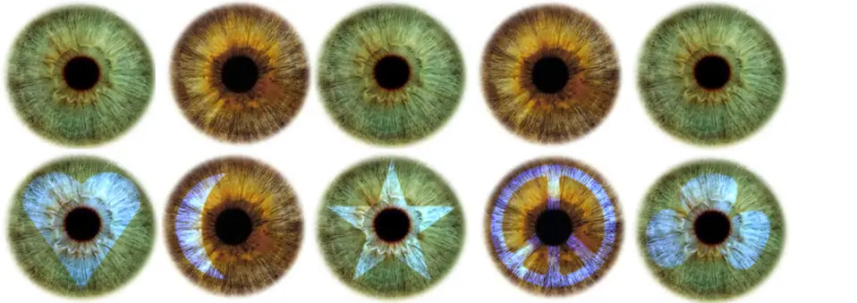 "lince queres tener ojos azules ya lo podes hacer fiera" "lince queres tener ojos azules ya lo podes hacer fiera"