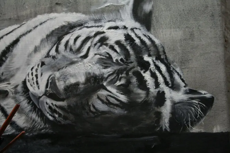 Logré dormir a un tigre por Guillermo Gonzalo Padilla