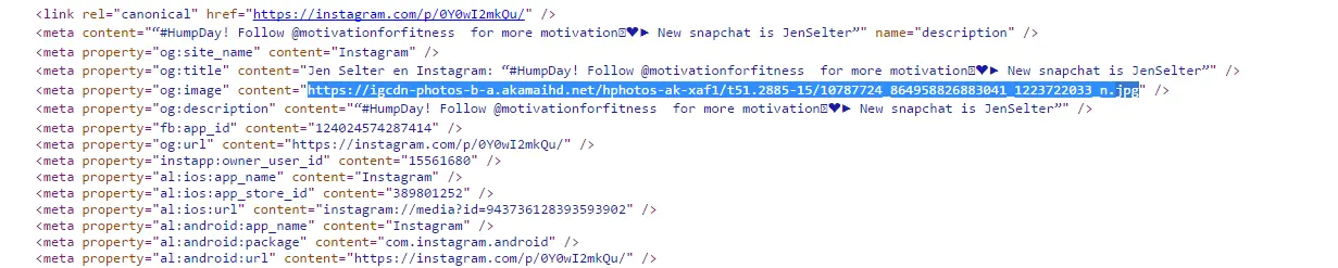 Como descargar fotos y videos de instagram