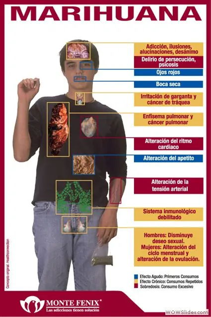 La marihuana SÍ es adictiva