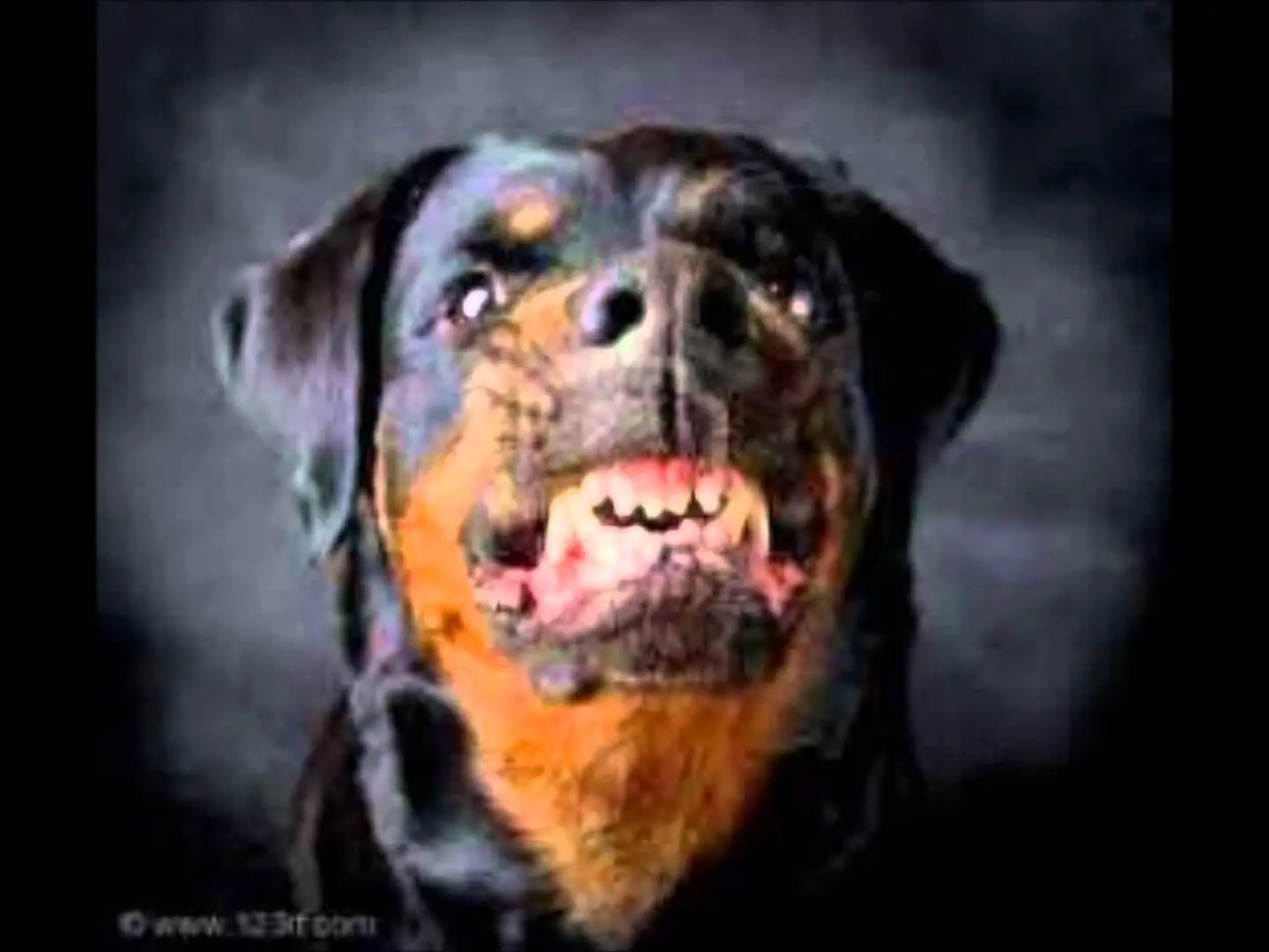 cosas que hacemos cuando tenemos miedo