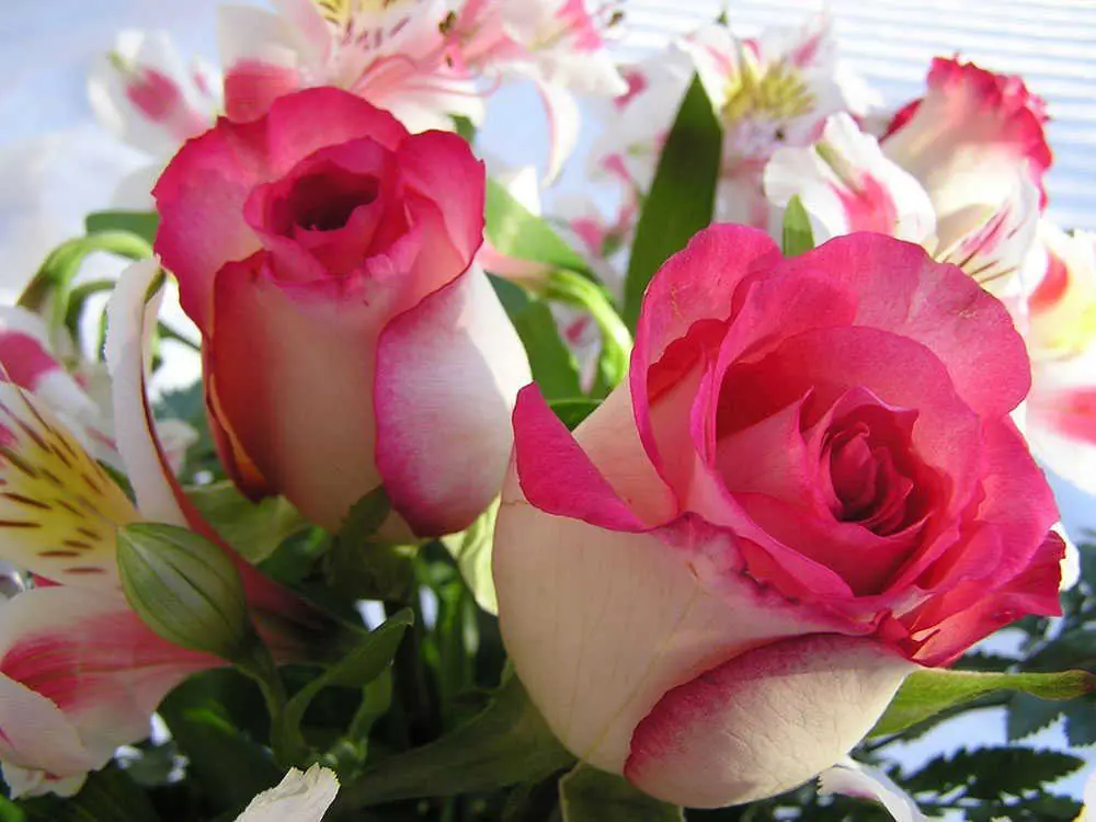 arreglos florales