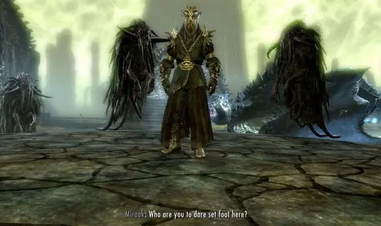 Por que skyrim fue de lo mejor y lo sigue siendo.
