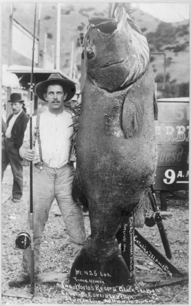 30 raras fotos del pasado