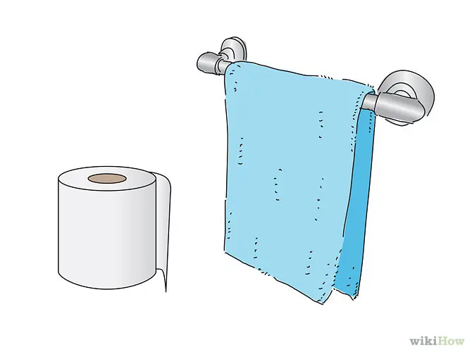 Cómo usar un Bidet