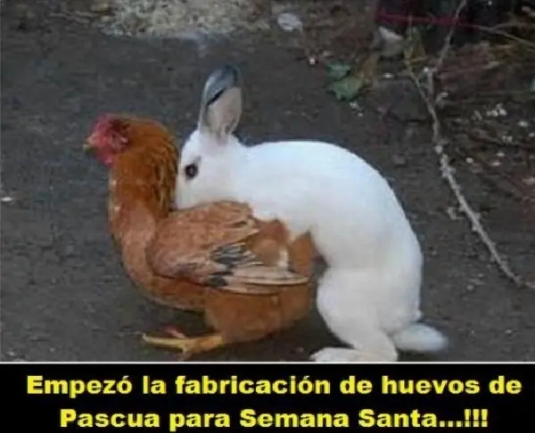 informacion