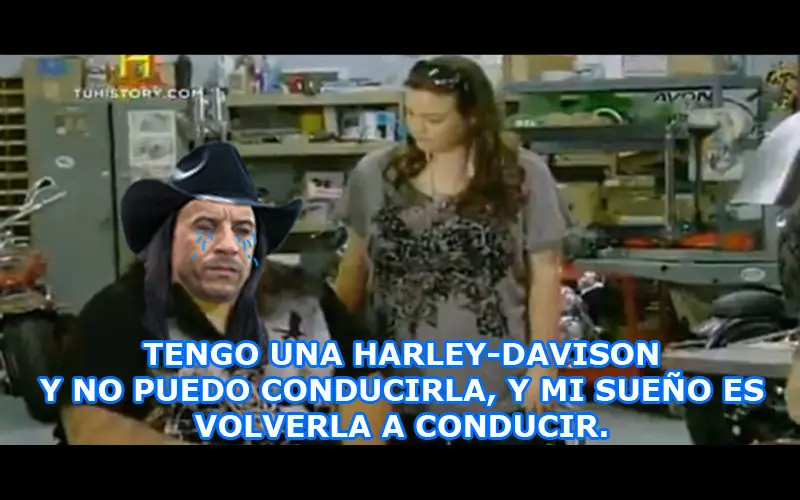 toretto sentado toretto sentado