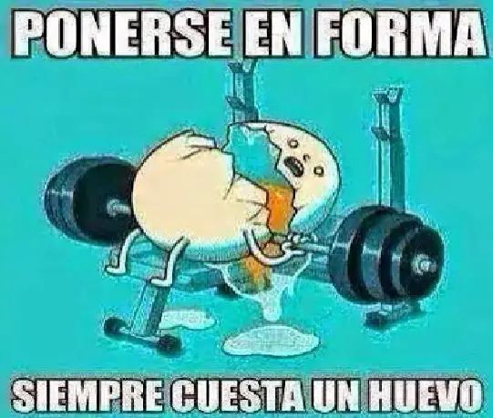 comida