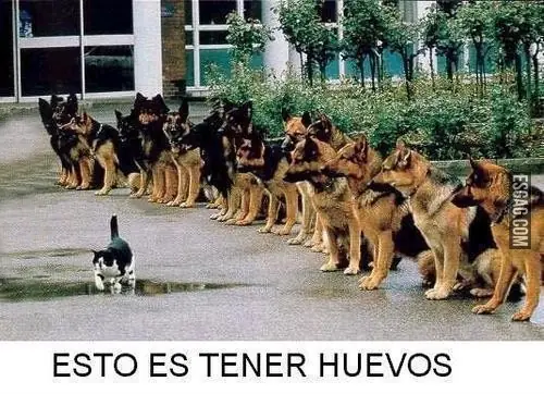informacion