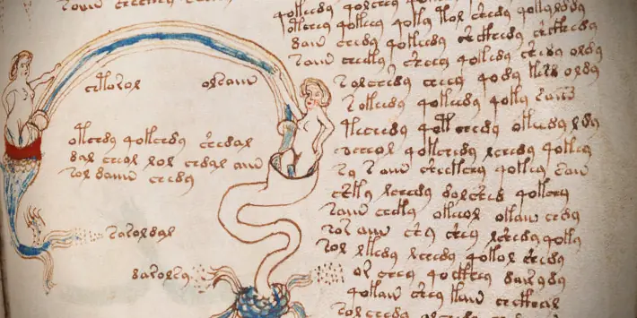 manuscrito de voynich