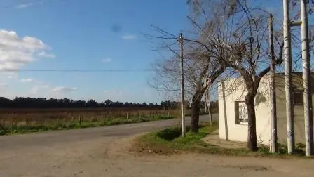 Guernica de pie: resistencia propositiva al modelo sojero