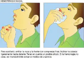 aprender
