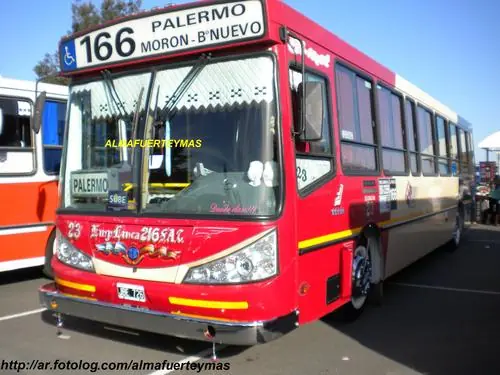 Intente dejar de ser un virgo-Lince y no lo logre (Imagenes)