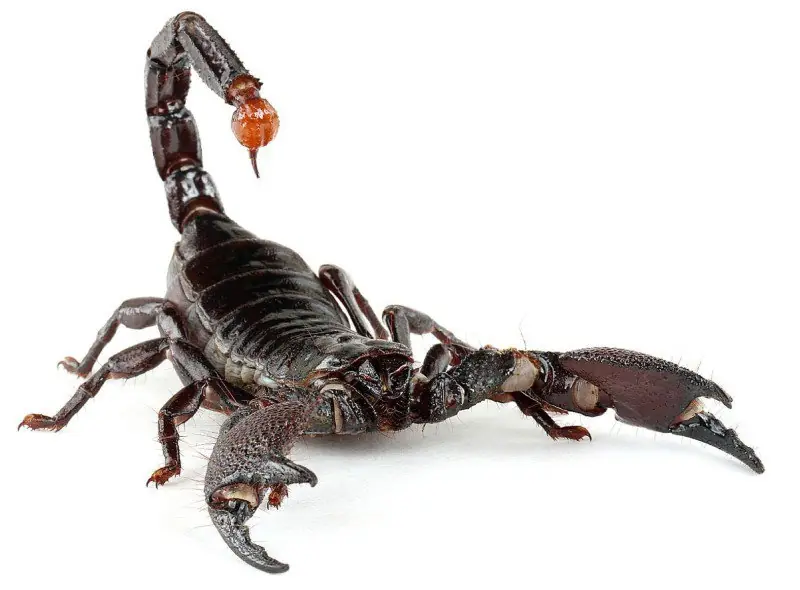 apuntes