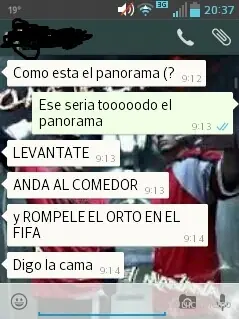 Intente dejar de ser un virgo-Lince y no lo logre (Imagenes)