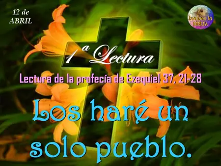 Lecturas y Liturgia del 28 de Marzo de 2015