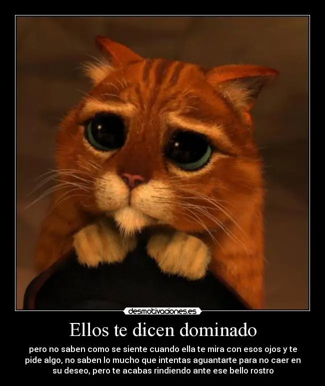 feminismo