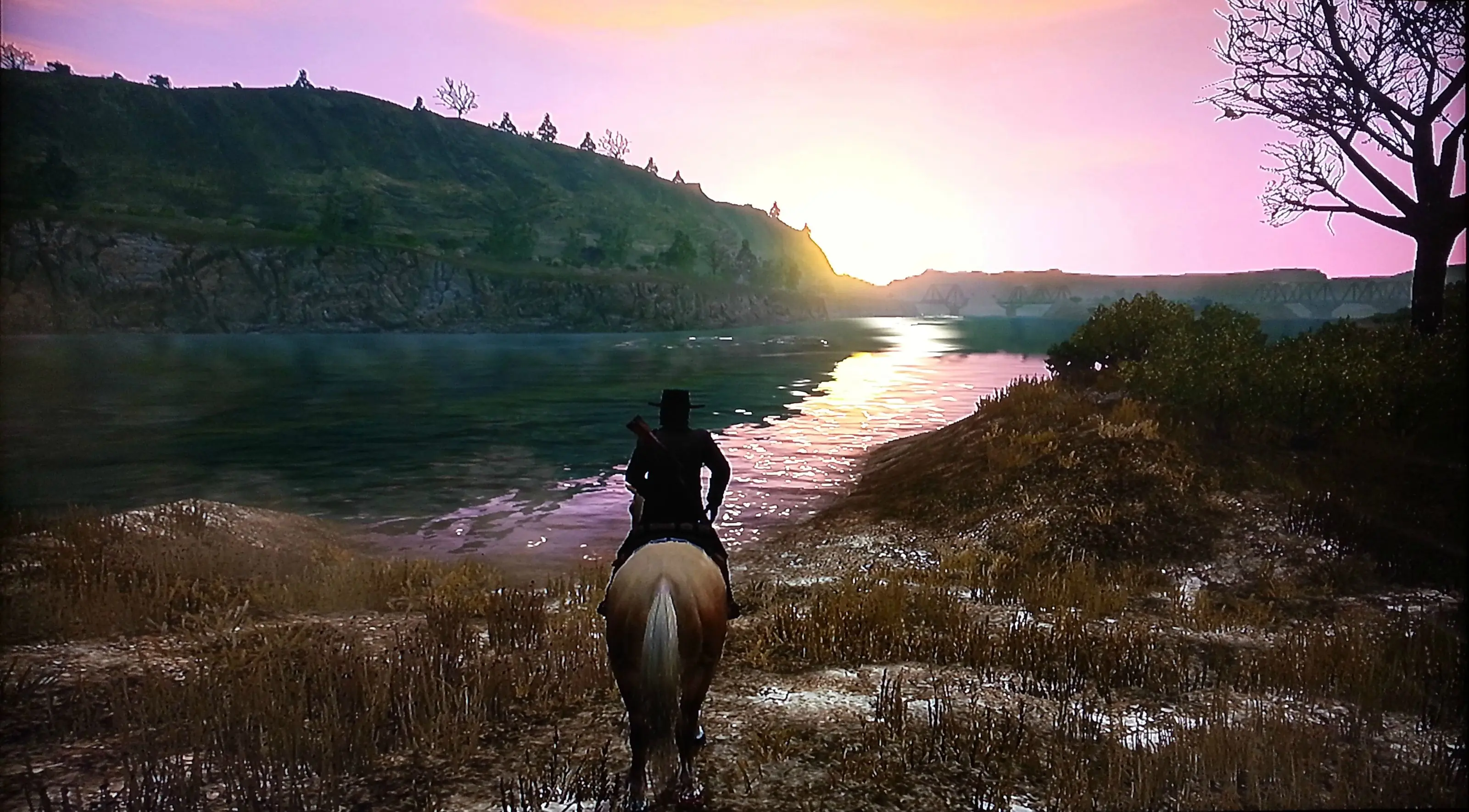 GOTY