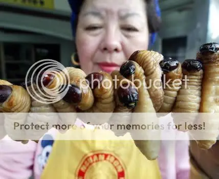 Las comidas mas repulsivas del mundo
