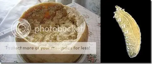 top 6 comida mas cul.. repulsiva en el mundo(para mi)