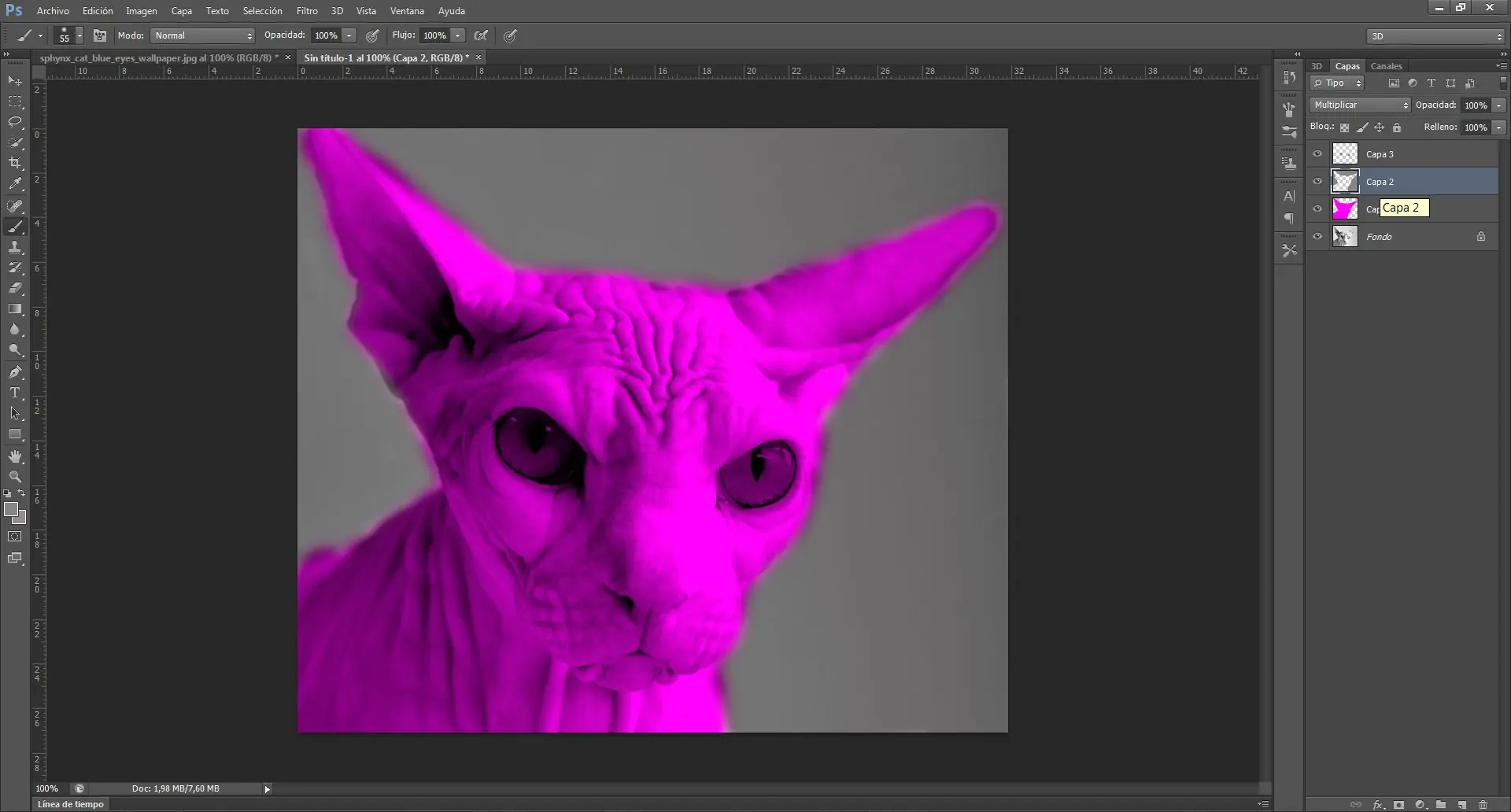 Tutorial Photoshop CS6: Efecto Pop Art de Andy Warhol