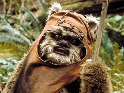 Los Ewoks existen... y necesitan ayuda!!