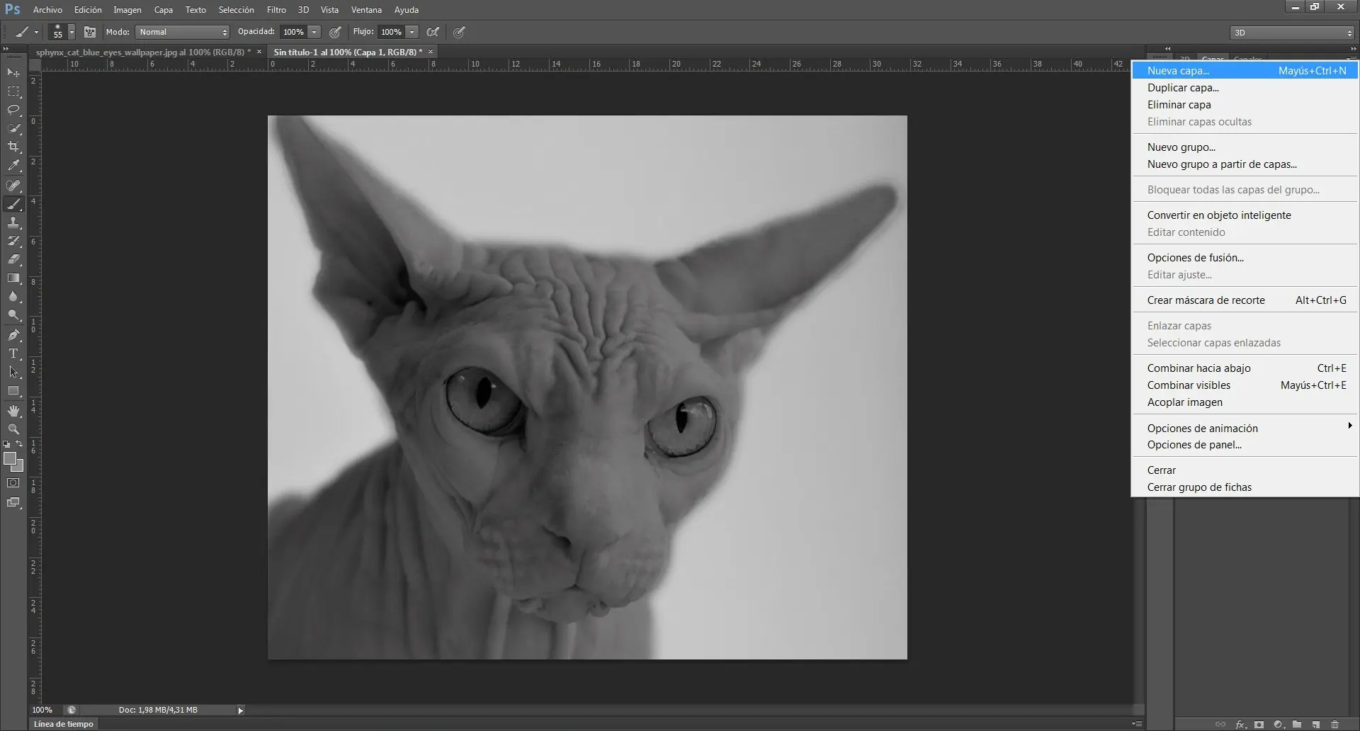photoshop