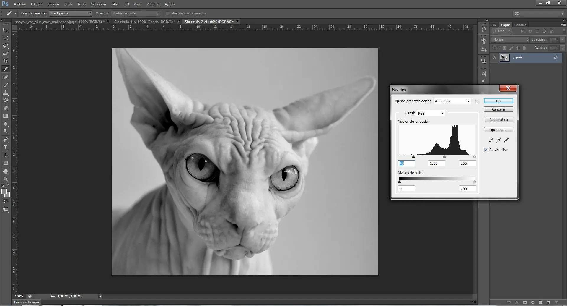 Tutorial Photoshop CS6: Efecto Pop Art de Andy Warhol