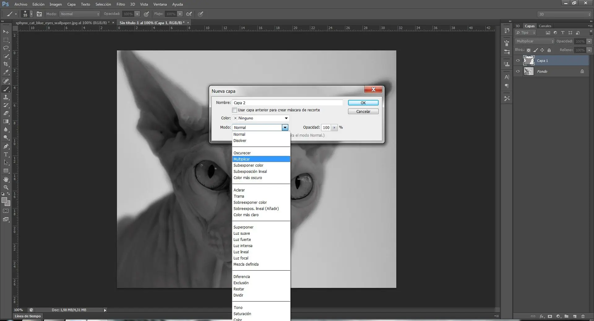 cs6