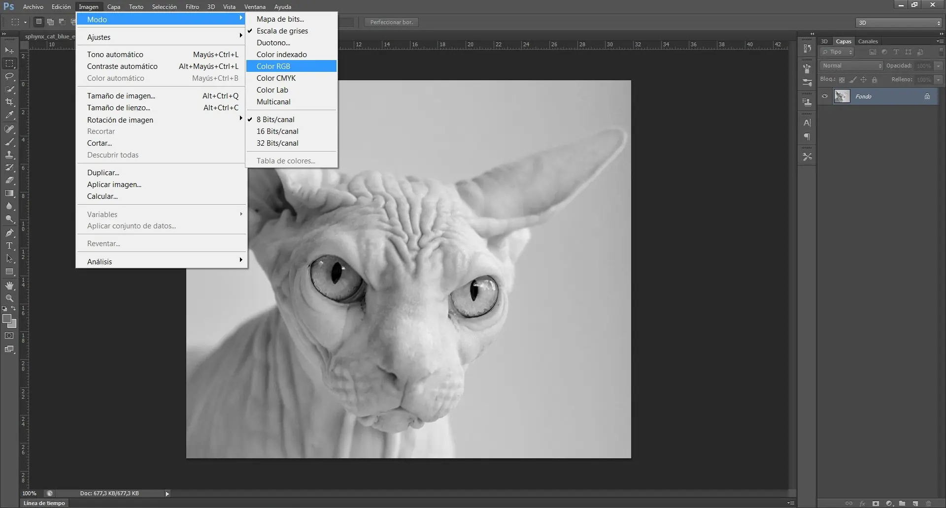 Tutorial Photoshop CS6: Efecto Pop Art de Andy Warhol