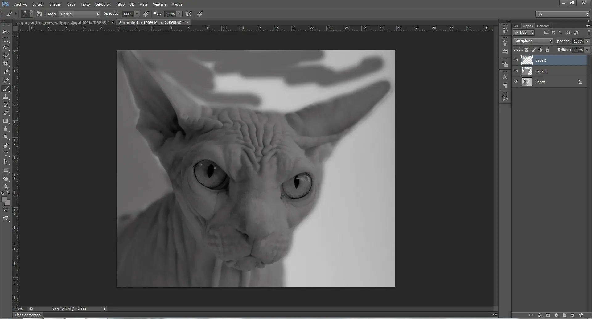 Tutorial Photoshop CS6: Efecto Pop Art de Andy Warhol