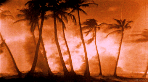 Primera Guerra Mundial