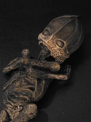 El Video Oculto del Extraterrestre de Kyshtym