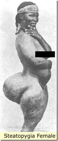 venus venus