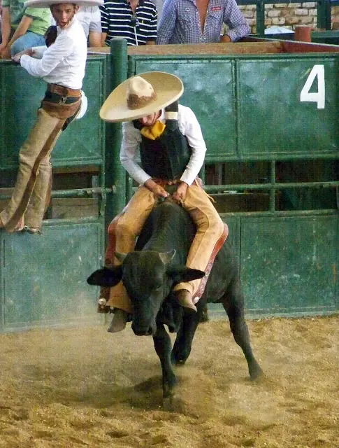 cowboy