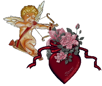 amor amor