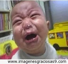 Regrese a T! y terminé mi serie Loquendera (Mi historia)