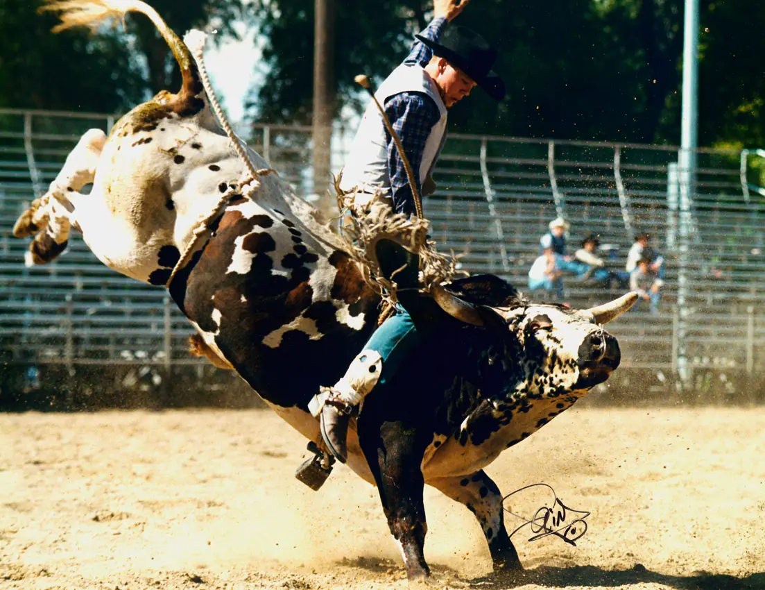 rodeo