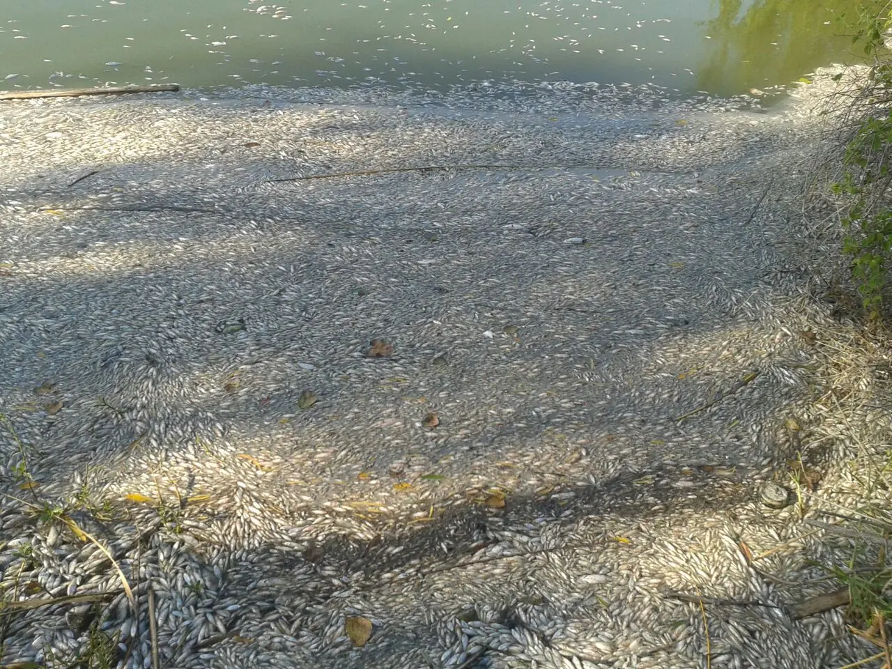 Problemas en la reserva La Saladita (ACTUALIZADO)