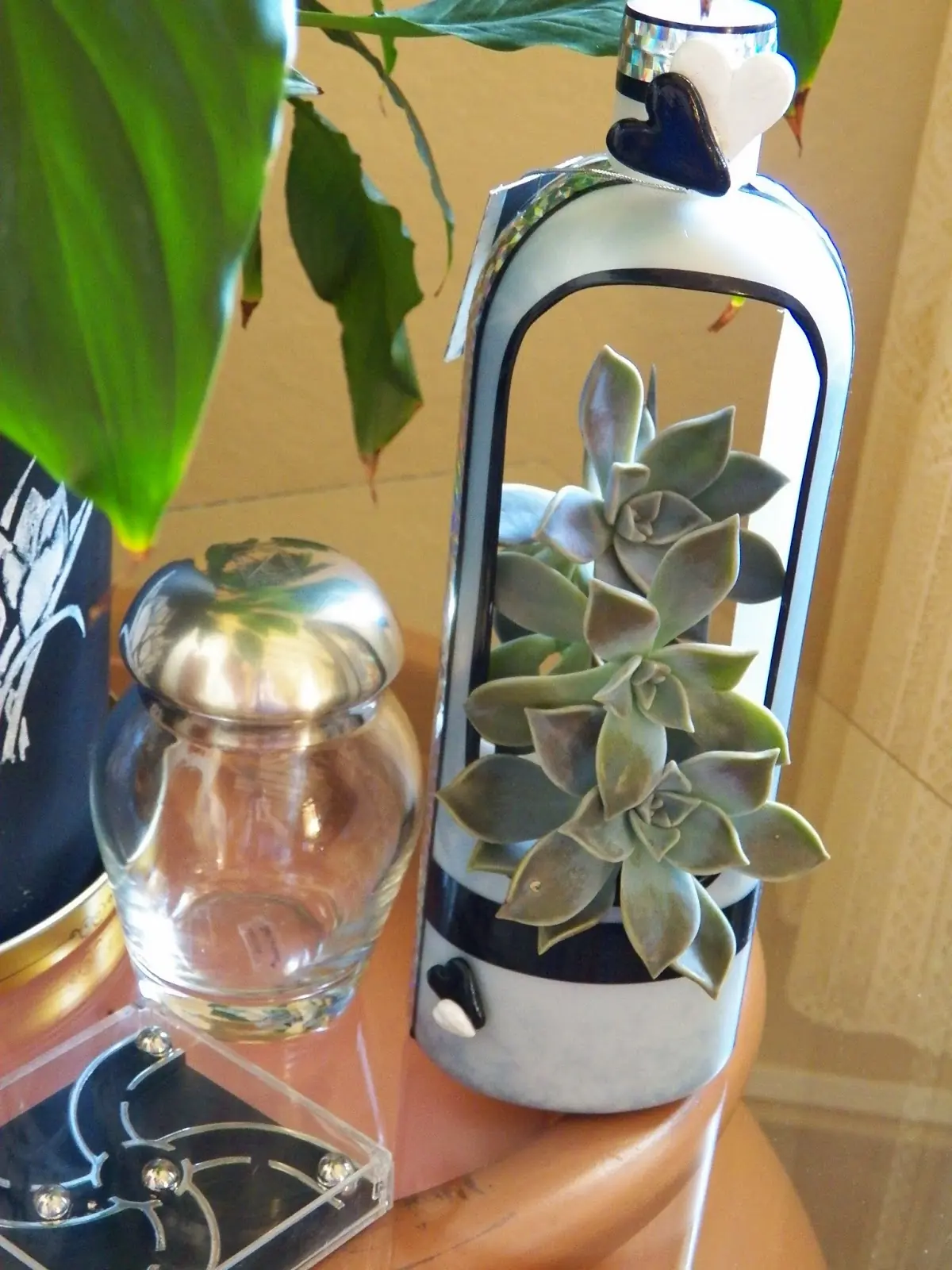 botellas recicladas