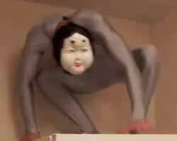 La biografia de PapaFranku