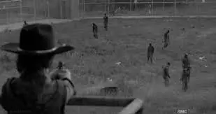 twd5enfox