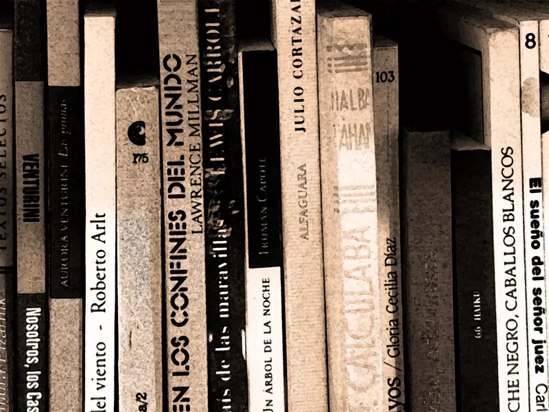 10 Libros Argentinos del Siglo XX que hay que leer. 10 Libros Argentinos del Siglo XX que hay que leer.